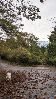 ������Q�O�Q�T�I