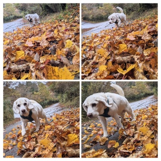 ������yu