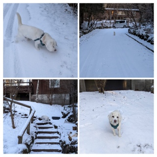 �����ł��I